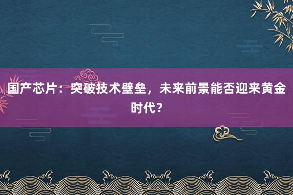 国产芯片:突破技术壁垒,未来前景能否迎来黄金时代?